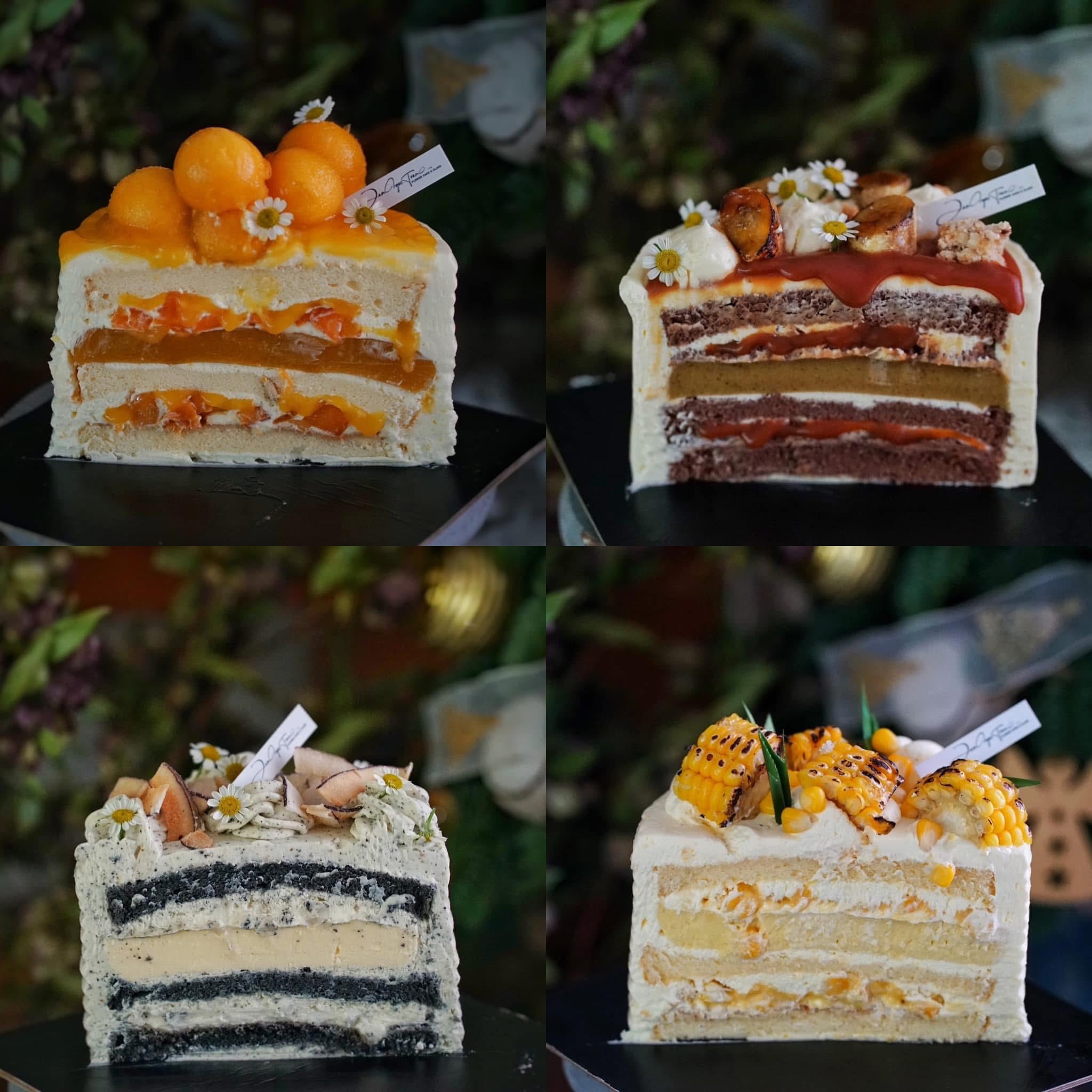 583322044_4328309844058397_4889294842125320938_n