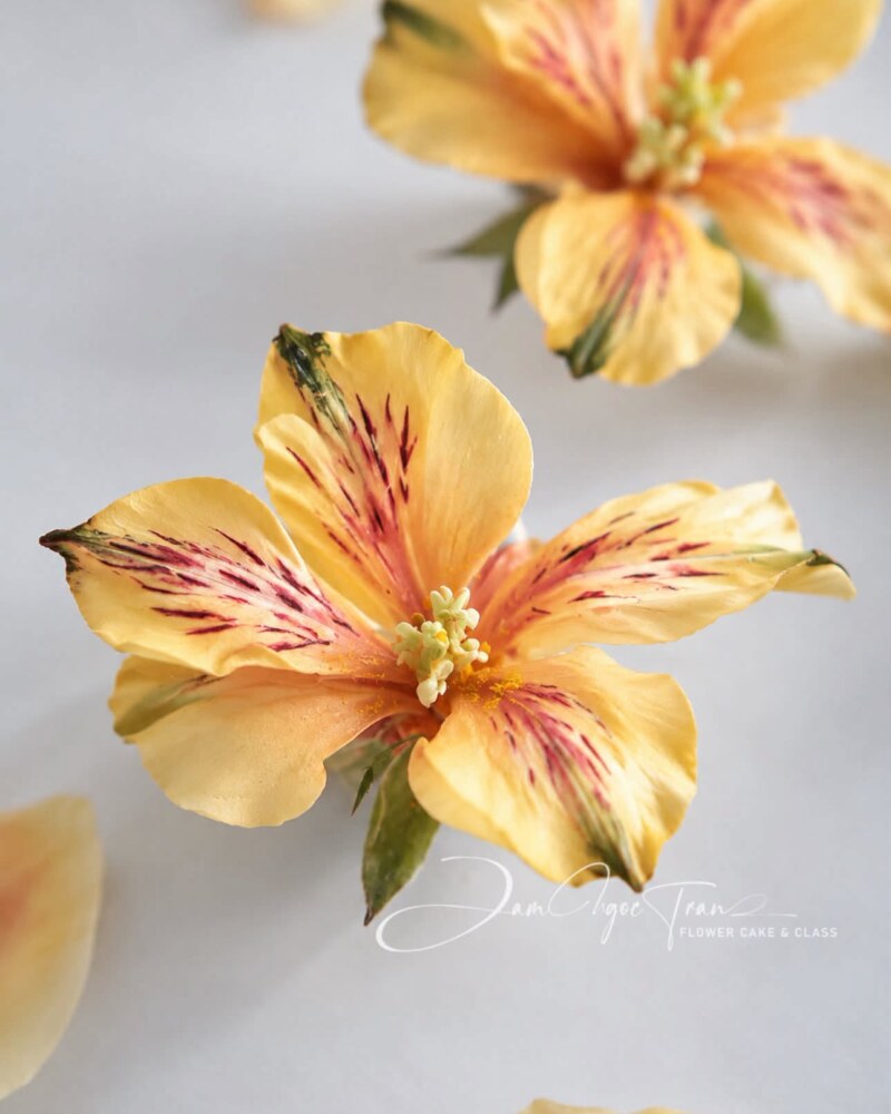 HOA LILY PERU