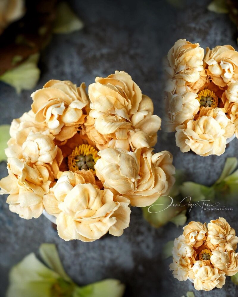 Hoa Mẫu Đơn (Peony)